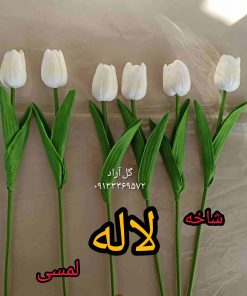 لاله لمسی سفید