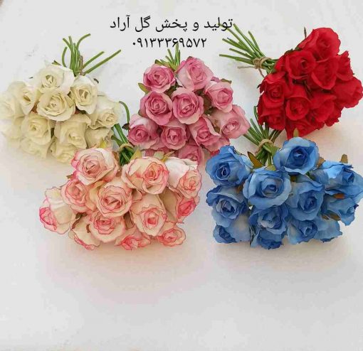 IMG ۲۰۲۵۰۴۲۳ ۱۹۱۱۱۵