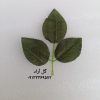 برگ مصنوعی رز