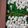 گل لاله مصنوعی لمسی