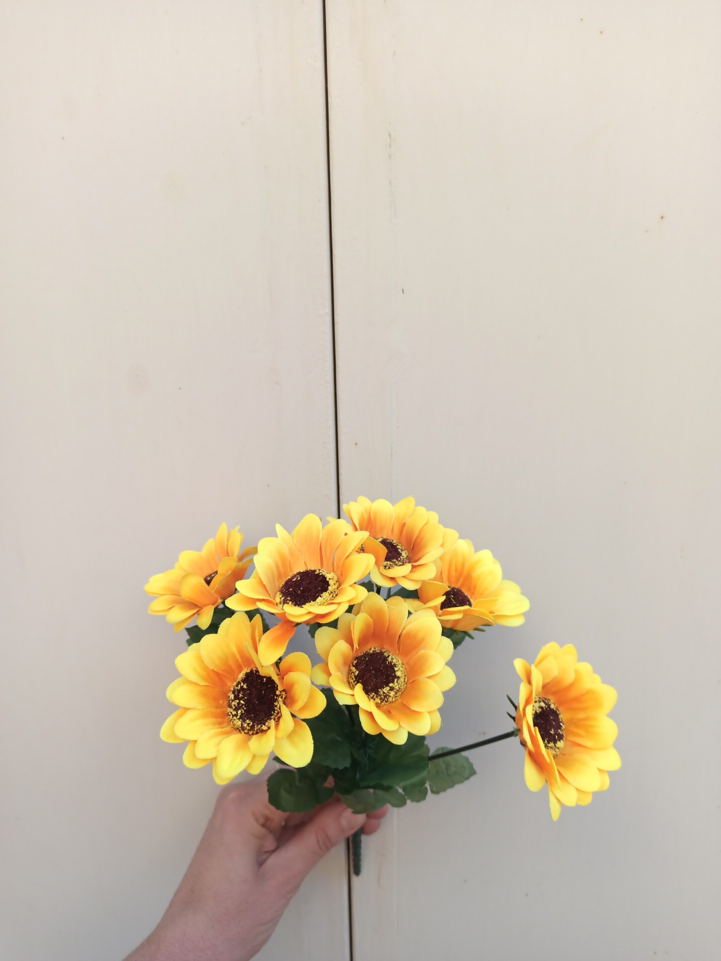 بوته آفتابگردان ۷ گل - Image 2