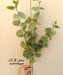 شاخه برگ مصنوعی اکالیپتوس بلند خارجی